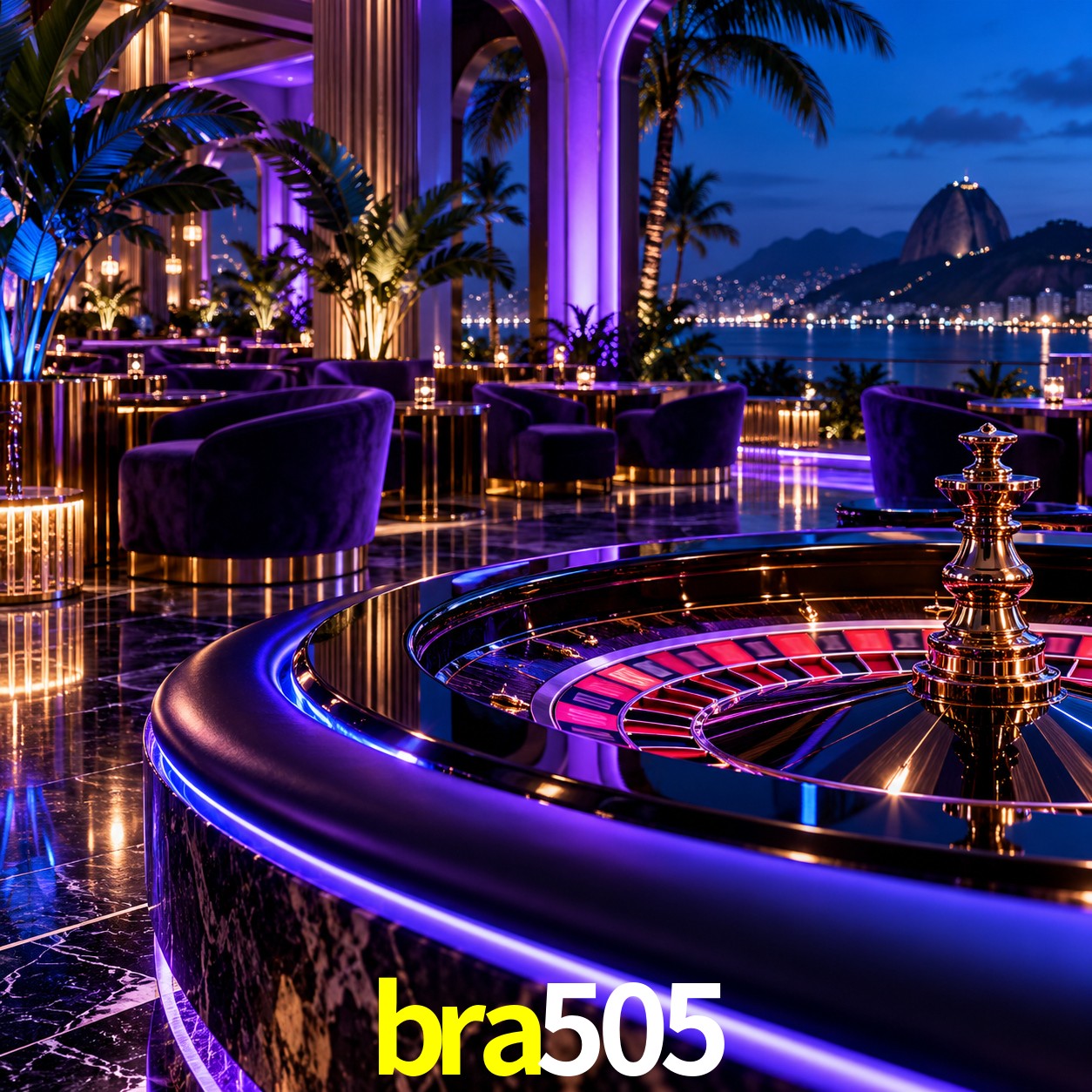 Account Benefits bra505